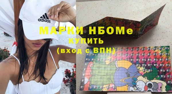 стаф Арсеньев