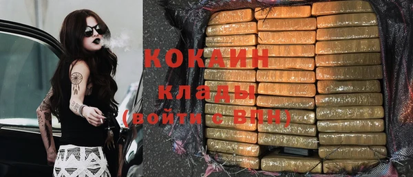 ешки Аркадак