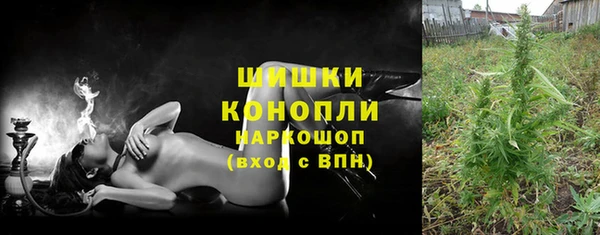ешки Аркадак