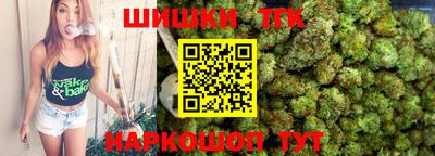 тгк Партизанск