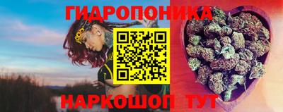 дмт Пенза