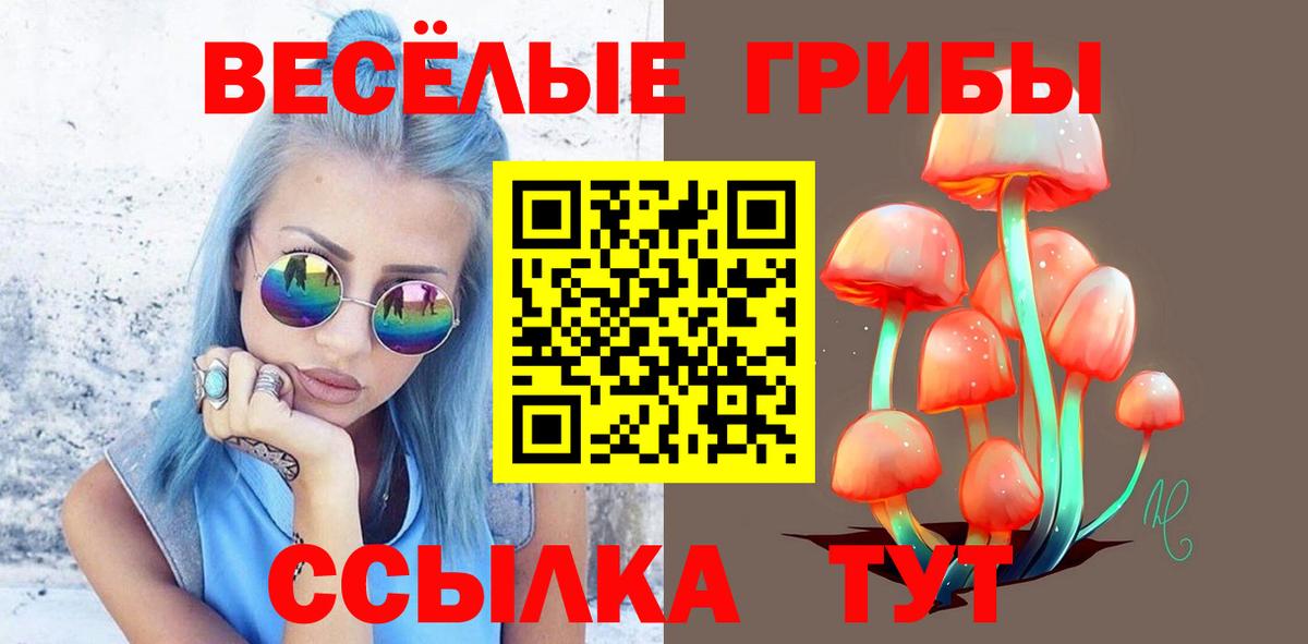 Солнечногорск  Галлюциногенные грибы Psilocybine cubensis  как найти закладки  Вход с VPN 